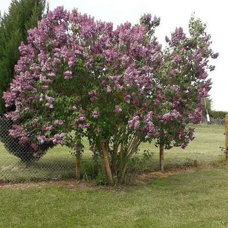La Maison De Rolland Holiday home Saint-Martin-L'ars