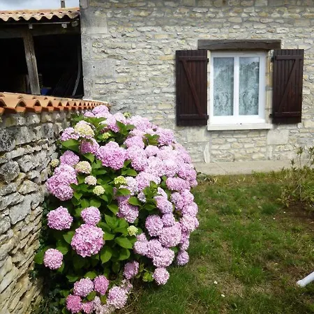 Ferienhaus 